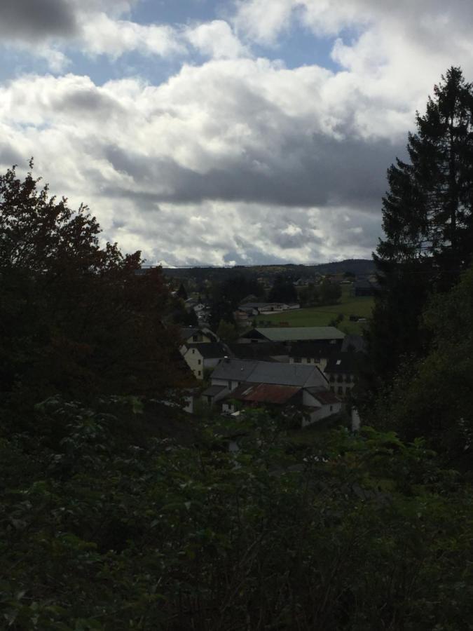 Ferienhaus Burggraf Kelberg Bagian luar foto