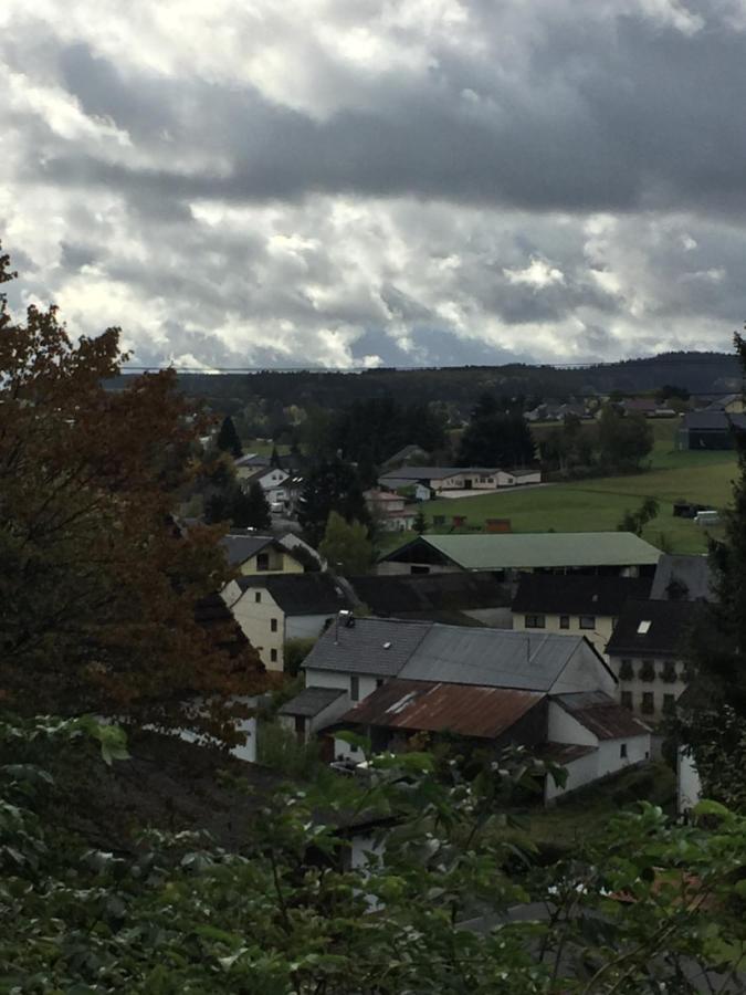 Ferienhaus Burggraf Kelberg Bagian luar foto